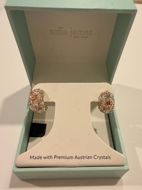 Jewelry - Rose Gold Crystal Hoop Earrings